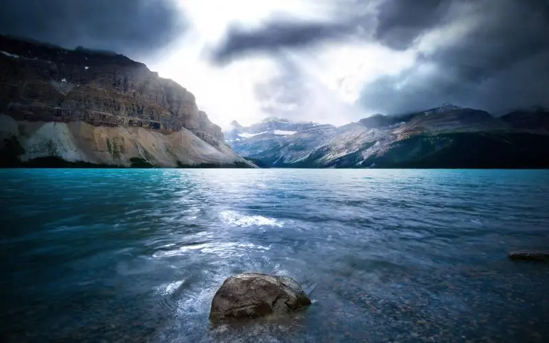 全自动科技